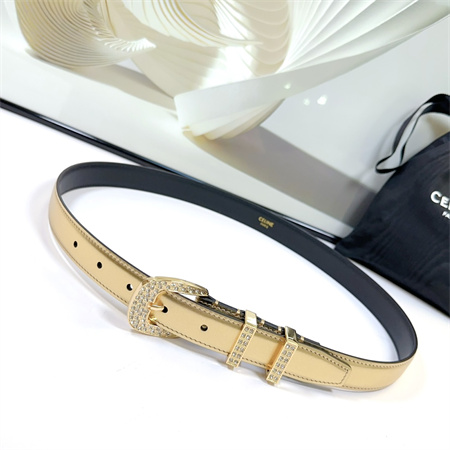 Celine Belt 25MM Calfskin In Gold Color