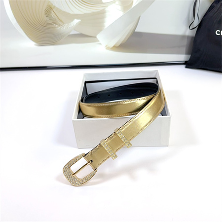 Celine Belt 25MM Calfskin In Gold Color