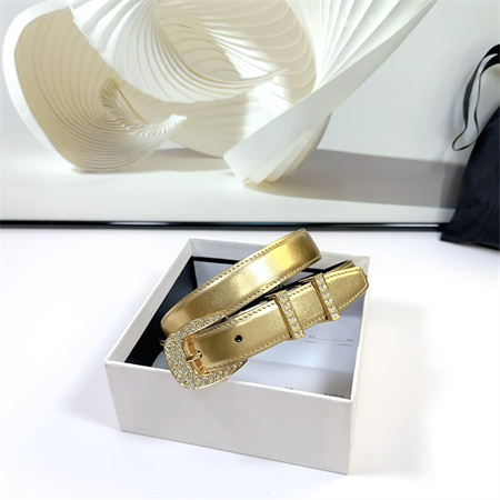 Celine Belt 25MM Calfskin In Gold Color