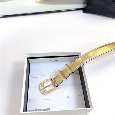 Celine Belt 25MM Calfskin In Gold Color