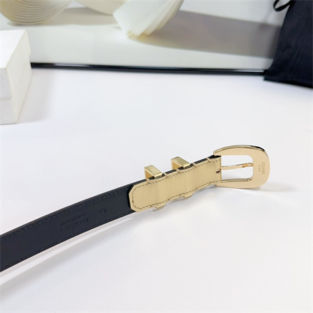 Celine Belt 25MM Calfskin In Gold Color