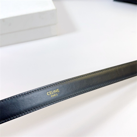Celine Belt 25MM Calfskin In Gold Color