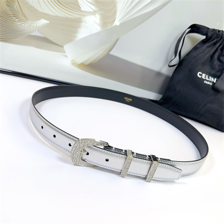 Celine Belt 25MM Calfskin In Silver Color