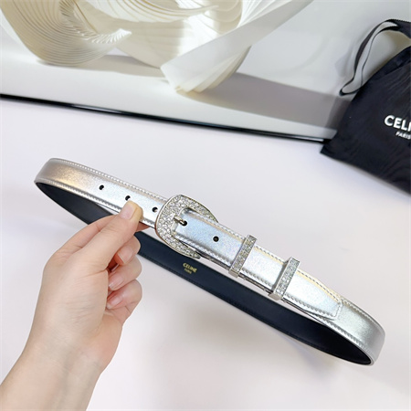 Celine Belt 25MM Calfskin In Silver Color