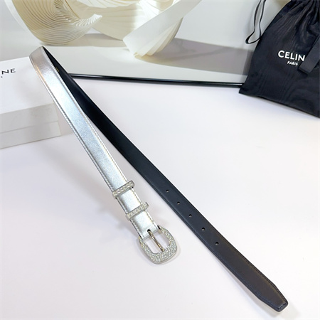 Celine Belt 25MM Calfskin In Silver Color