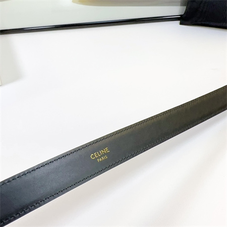 Celine Belt 25MM Calfskin In Silver Color