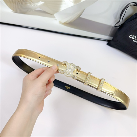 Celine Triomphe Belt 25MM Calfskin In Gold Color