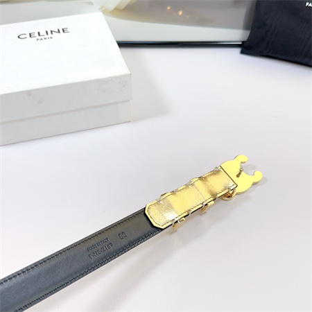 Celine Triomphe Belt 25MM Calfskin In Gold Color