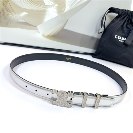 Celine Triomphe Belt 25MM Calfskin In Silver Color