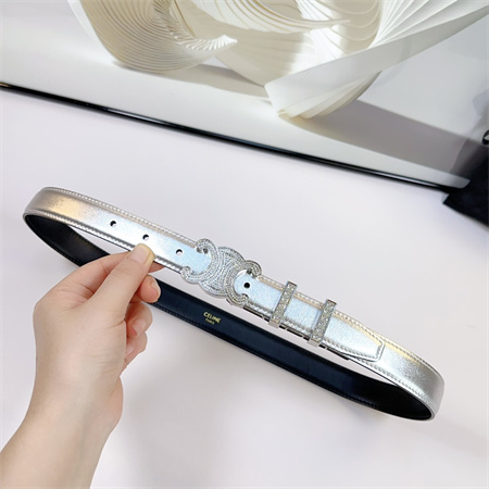 Celine Triomphe Belt 25MM Calfskin In Silver Color