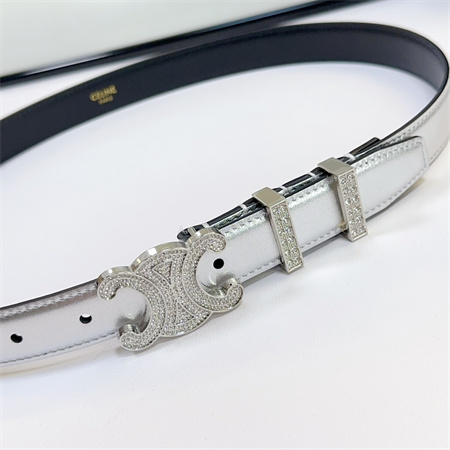 Celine Triomphe Belt 25MM Calfskin In Silver Color
