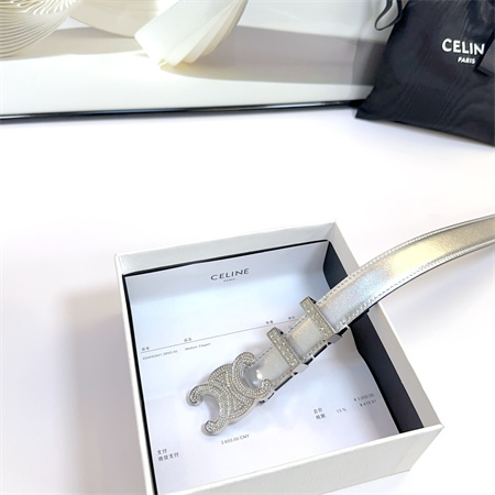 Celine Triomphe Belt 25MM Calfskin In Silver Color