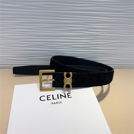 Celine TEEN Triomphe Belt 30MM Suded Gold Tone Buckle Black