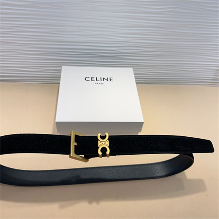Celine TEEN Triomphe Belt 30MM Suded Gold Tone Buckle Black