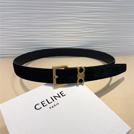 Celine TEEN Triomphe Belt 30MM Suded Gold Tone Buckle Black