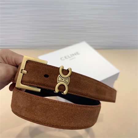Celine TEEN Triomphe Belt 30MM Suded Gold Tone Buckle Brown
