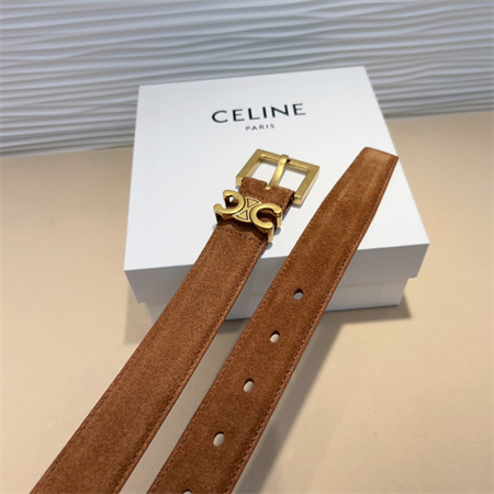 Celine TEEN Triomphe Belt 30MM Suded Gold Tone Buckle Brown