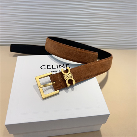 Celine TEEN Triomphe Belt 30MM Suded Gold Tone Buckle Brown