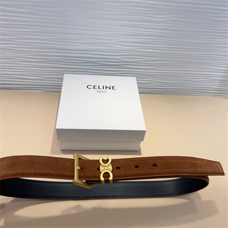 Celine TEEN Triomphe Belt 30MM Suded Gold Tone Buckle Brown