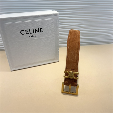 Celine TEEN Triomphe Belt 30MM Suded Gold Tone Buckle Brown