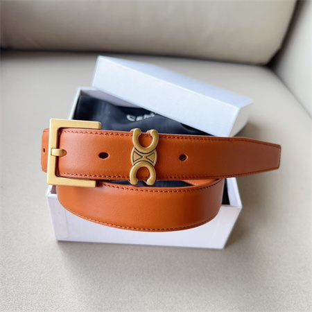 Celine TEEN TRIOMPHE Belt 30MM Calfskin Gold Tone Buckle Brown