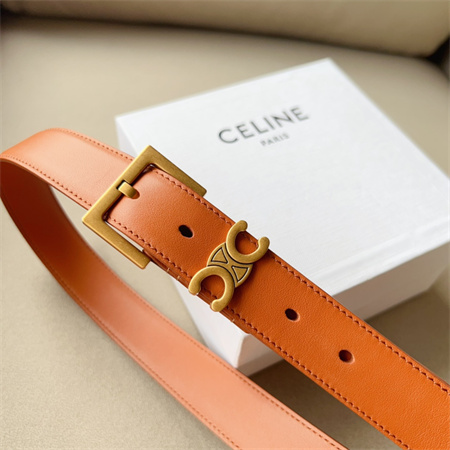 Celine TEEN TRIOMPHE Belt 30MM Calfskin Gold Tone Buckle Brown