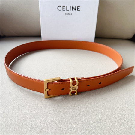 Celine TEEN TRIOMPHE Belt 30MM Calfskin Gold Tone Buckle Brown
