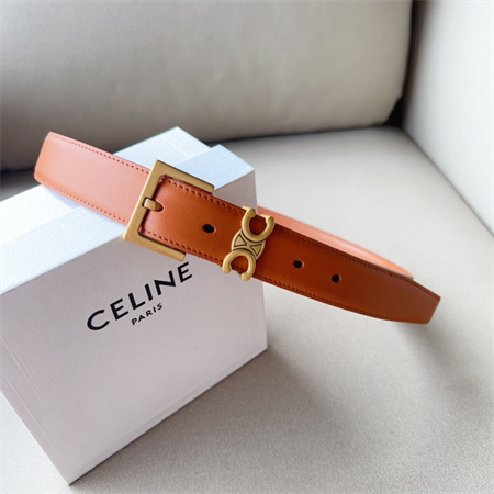 Celine TEEN TRIOMPHE Belt 30MM Calfskin Gold Tone Buckle Brown