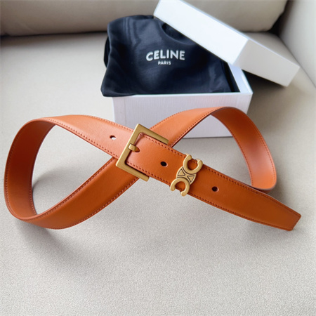 Celine TEEN TRIOMPHE Belt 30MM Calfskin Gold Tone Buckle Brown
