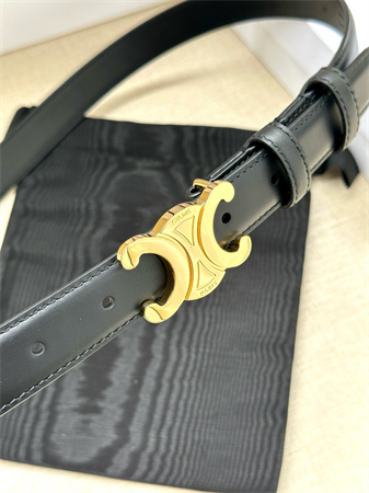 Celine TEEN TRIOMPHE Belt 25MM Calfskin Shinny Gold Tone Buckle Black