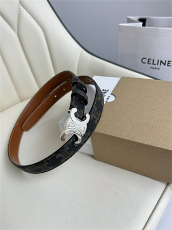 Celine TRIOMPHE Belt 25MM In Black TRIOMPHE CANVAS Silver Tone Buckle