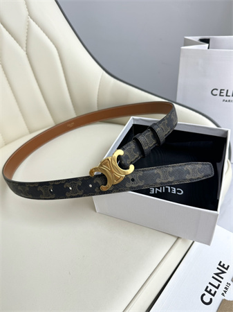 Celine TRIOMPHE Belt 25MM In Black TRIOMPHE CANVAS Gold Tone Buckle