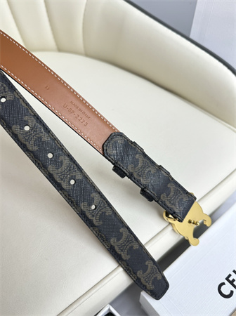 Celine TRIOMPHE Belt 25MM In Black TRIOMPHE CANVAS Gold Tone Buckle