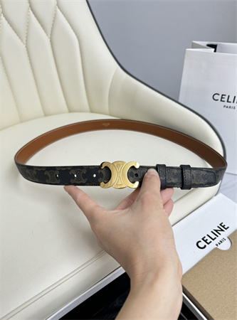 Celine TRIOMPHE Belt 25MM In Black TRIOMPHE CANVAS Gold Tone Buckle
