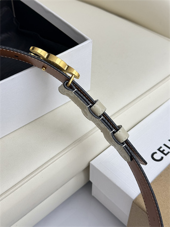 Celine TRIOMPHE Belt 25MM In White TRIOMPHE CANVAS Gold Tone Buckle