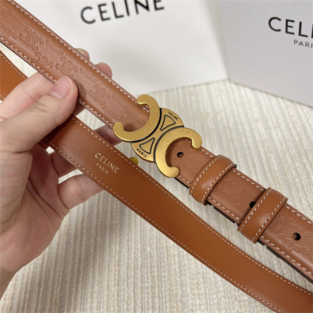 Celine TRIOMPHE Belt 25MM In Embossed Calfskin Aged Gold Tone Buckle Brown