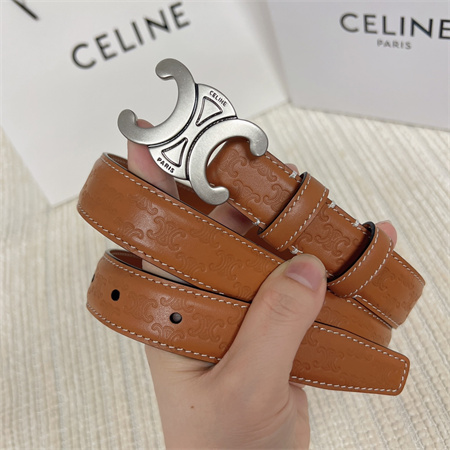 Celine TRIOMPHE Belt 25MM In Embossed Calfskin Aged Silver Tone Buckle Brown