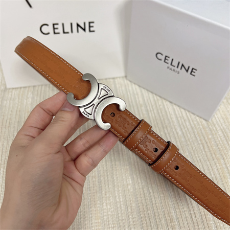 Celine TRIOMPHE Belt 25MM In Embossed Calfskin Aged Silver Tone Buckle Brown