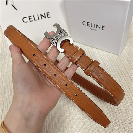 Celine TRIOMPHE Belt 25MM In Embossed Calfskin Aged Silver Tone Buckle Brown