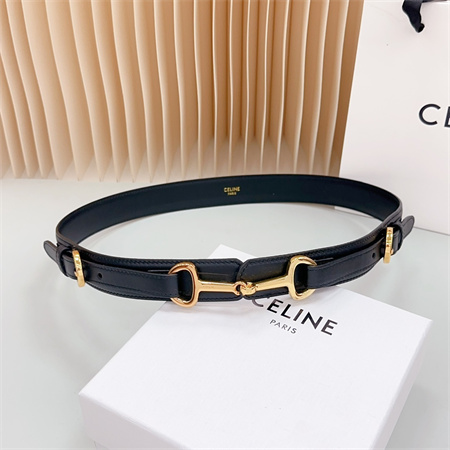 Celine Belt 30MM In Calfskin Gold Tone Buckle Black