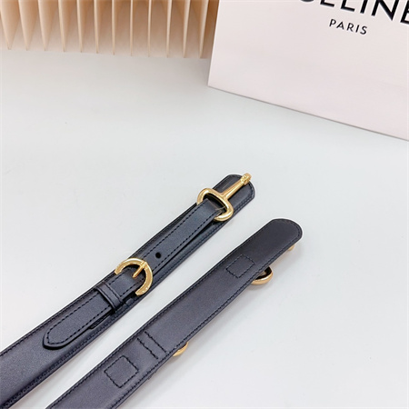 Celine Belt 30MM In Calfskin Gold Tone Buckle Black