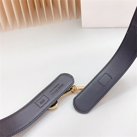 Celine Belt 30MM In Calfskin Gold Tone Buckle Black