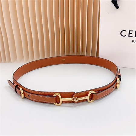 Celine Belt 30MM In Calfskin Gold Tone Buckle Brown