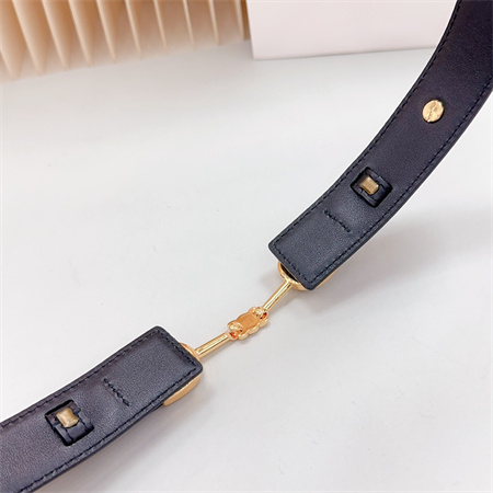Celine Belt 30MM In Calfskin Gold Tone Buckle Black
