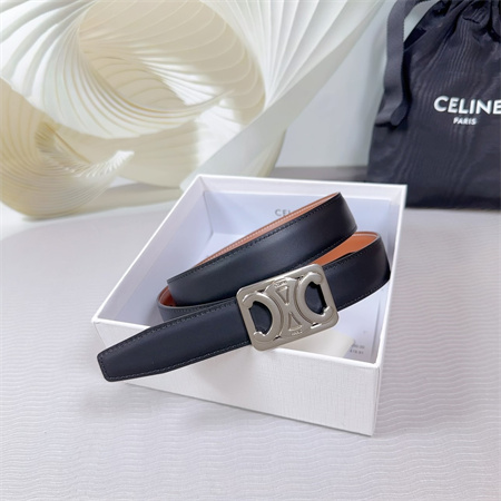 Celine MEDIUM REVERSIBLE FRAMED TRIOMPHE BELT 25MM CALFSKIN Silver Tone Buckle Black/Brown