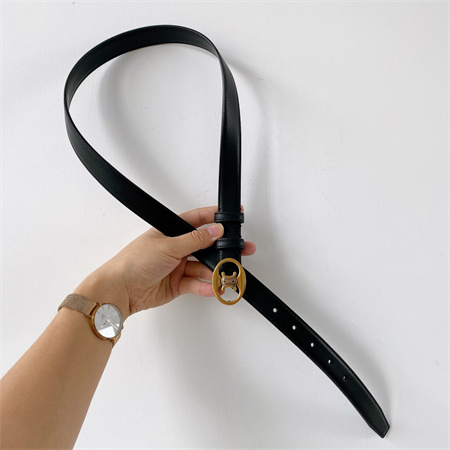 Celine TRIOMPHE Belt 25MM In Calfskin Gold Tone Buckle Black