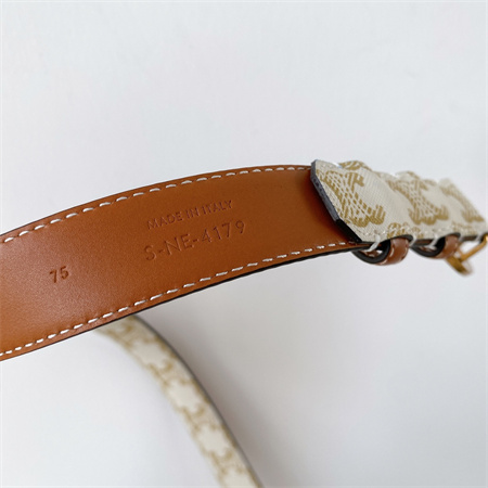 Celine TRIOMPHE Belt 25MM In TRIOMPHE CANVAS Gold Tone Buckle White/Brown