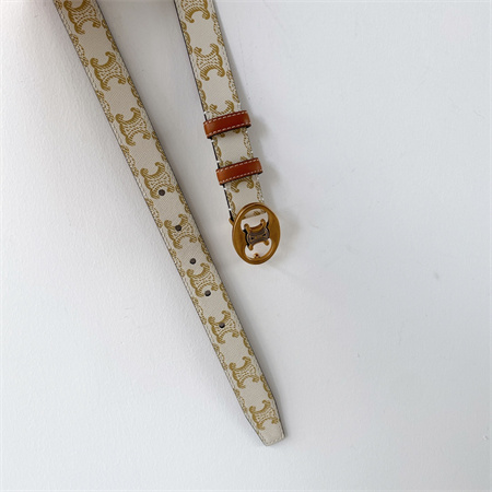 Celine TRIOMPHE Belt 25MM In TRIOMPHE CANVAS Gold Tone Buckle White/Brown