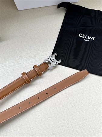 Celine TRIOMPHE Belt 25MM In Calfskin Aged Silver Tone Buckle Brown