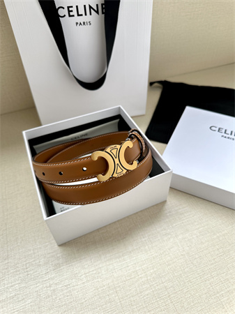 Celine TRIOMPHE Belt 25MM In Calfskin Aged Gold Tone Buckle Brown